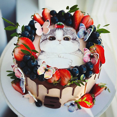 Торт "Котенок" купить - щелково.сладкоежкин.рф